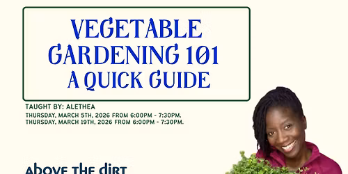 Vegetable Gardening 101 - A Quick Guide