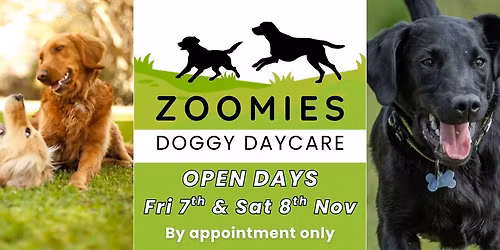 Zoomies Open Days