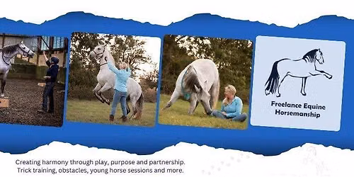 Truesdale EC Obstacle Clinic (Poles, platforms and spook busting) Inhand or ridden.