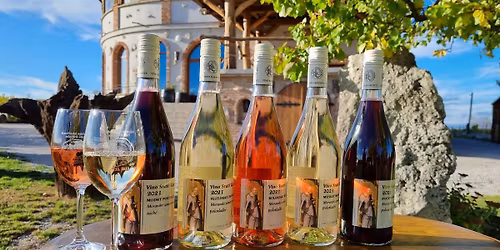 KATE\u0158INSK\u00c1 V\u00ddSTAVA MLAD\u00ddCH V\u00cdN 2025