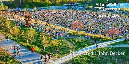Tree Tour: Health, Wealth, and History on the Atlanta Beltline Arboretum Eastside Trail