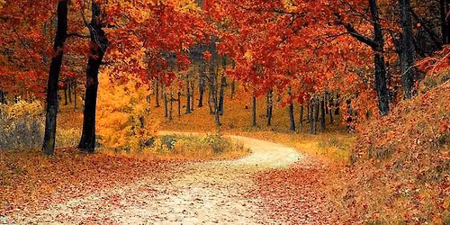 Fall Colors Bike Ride \ud83c\udf41