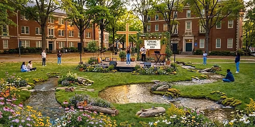 Spring Revival