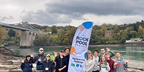 Big Rock Pool Challenge BioBlitz Battle: Menai Bridge, Bangor