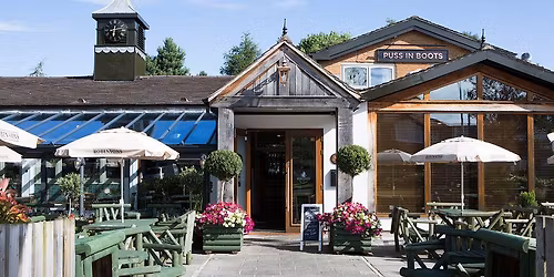 New Year's Eve at the Puss in Boots