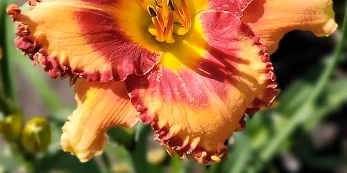 November 2025 Monthly Meeting