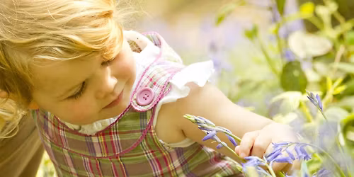 Grange Farm Nature Tots (Wednesday)