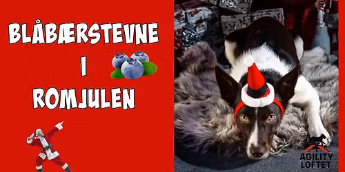 Bl\u00e5b\u00e6rstevne i romjulen \u2744\ufe0f\ud83d\udc3e