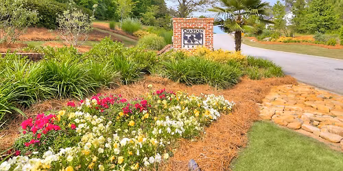 Neighborhood Yard Sale