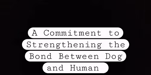 Riverview pop-up vendor market