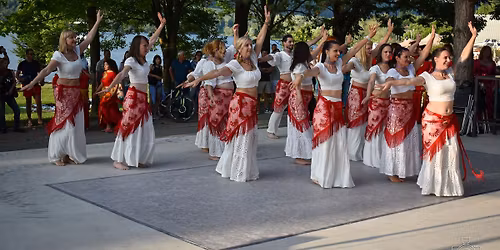 Tradicionalno sre\u010danje orientalskih plesalcev vol. 8