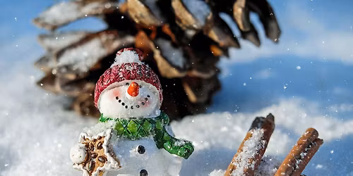 Kerststukjes maken bij Kinderboerderij De Baak 17 december 14:00-16:00 uur