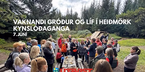 Vaknandi gr\u00f3\u00f0ur og l\u00edf \u00ed Hei\u00f0m\u00f6rk - Kynsl\u00f3\u00f0aganga