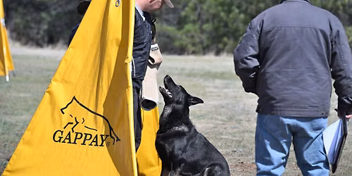 High Plains Schutzhund Club 2026 Summer Trial