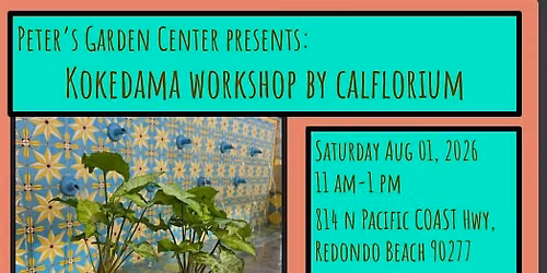 Craft your Kokedama