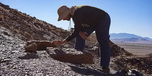 Sloths to Mammoths: Paleontology of Joshua Tree National Park