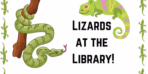 Lizards at the Library!
