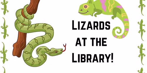 Lizards at the Library!
