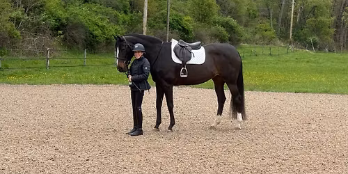 Positive Reinforcement Clinic in PA