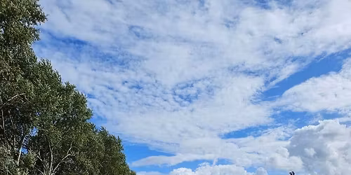 Brightwood Equestrian Clinic