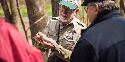 Foraging in the Ozarks