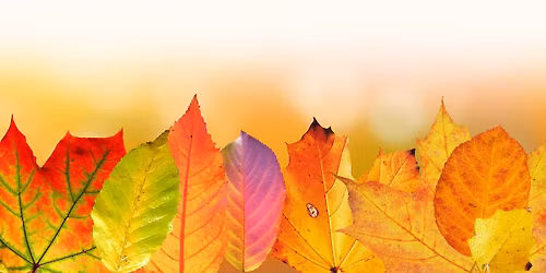 Chesterfield Derbyshire Pagans Moot\/Gathering