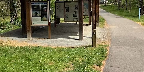 Welcome to Spring Tree Walk at Ivy Creek