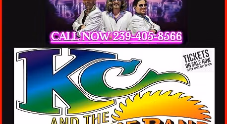 A Tribute To The Great Bee Gees and KC & The Sunshine Band Plus Disco Greats Dance Hits!