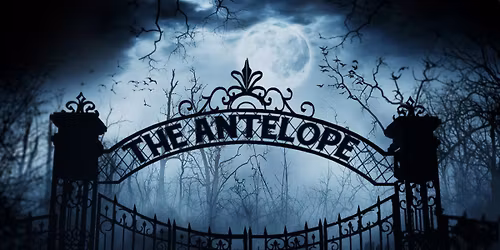 Halloween @ The Antelope