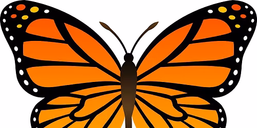 Butterfly Open Development Circle