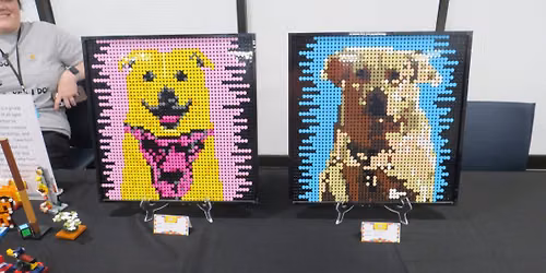Antioch Library LEGO Show