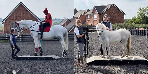 Working equitation obstacles clinic Baschurch