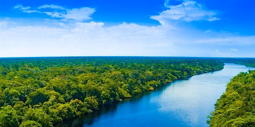 Nature at Night: "Wekiva Wild and Scenic River"