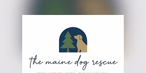 Holiday In The Plaza!