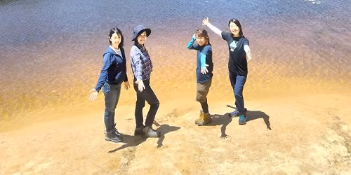 6\/24(\u6c34) \u7761\u84ee\u306e\u82b1\u54b2\u304f\u5929\u4e0a\u754c\u306e\u3088\u3046\u306a\u666f\u8272!\u6c34\u66dc\u65e5\u306e\u82a6\u5c4b\u30ed\u30c3\u30af\u30ac\u30fc\u30c7\u30f3\u30fb\u98a8\u5439\u5ca9\u30fb\u91d1\u9ce5\u5c71\u30b0\u30eb\u30e1\u30cf\u30a4\u30ad\u30f3\u30b0