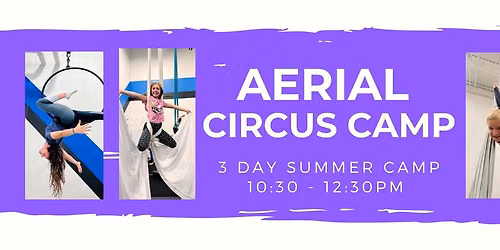 3 Day Aerial Circus Camp - Session 2