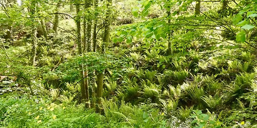 The Lost Picturesque Landscape of Ada Lovelace