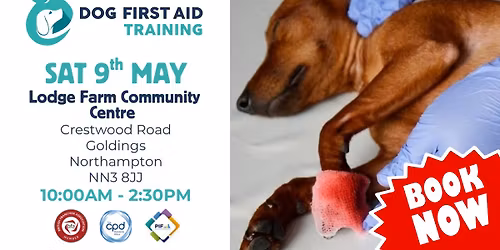 Goldings - Northampton Dog First Aid Training \ud83d\udc3e\u2764\ufe0f\u200d\ud83e\ude79