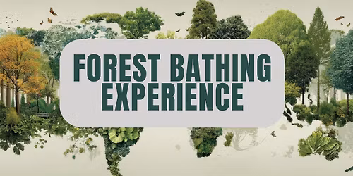 Summer Forest Bathing Experience-With Mark Bucha