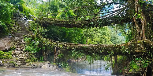 Kaziranga & Meghalaya