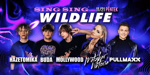 WILD LIFE \u2718 MOLLYWOOD & HAZETOMIKA \u2718 2025.11.21. p\u00e9ntek \u2718 SING SING, Szeged