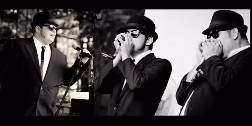 Blues Brothers Next Generation at The Rex Theatre