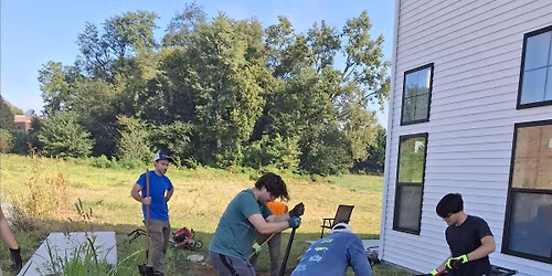 Rain Gardens for Beginners