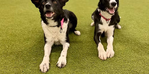 Trening torkowy w Juhuu