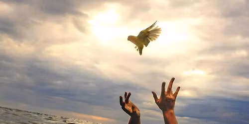 Cin\u00e9-rencontre I Les oiseaux de pluie avec JALMALV