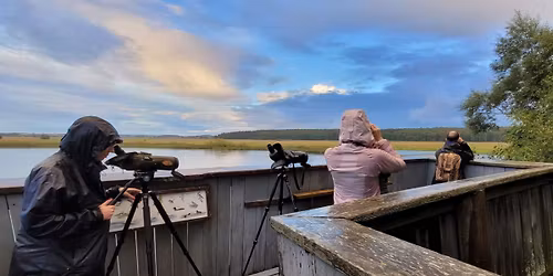 F\u00e5gelsk\u00e5dning \/ Bird watching