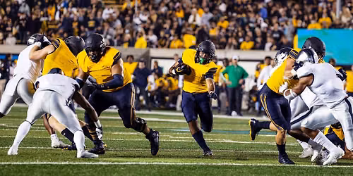 Wake Forest Demon Deacons at California Golden Bears Football