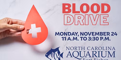 Blood Drive at the Aquarium