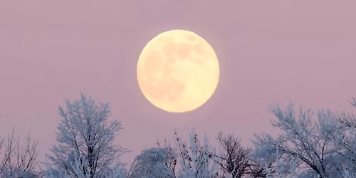 Full Moon Swim - Cold Moon