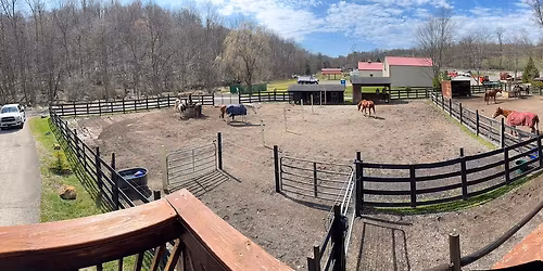 Get Connected Clinic